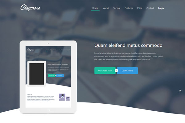 轰炸电话号码网站